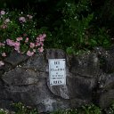 2012-07-04 09.10.43 Zoiets als Oeteldonks peil